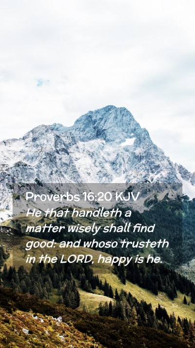 Picture 02 - Proverbs 16:20 KJV Mobile Phone Wallpaper - He that handleth a matter wisely shall find good: - Mobile Bible Verse Wallpaper