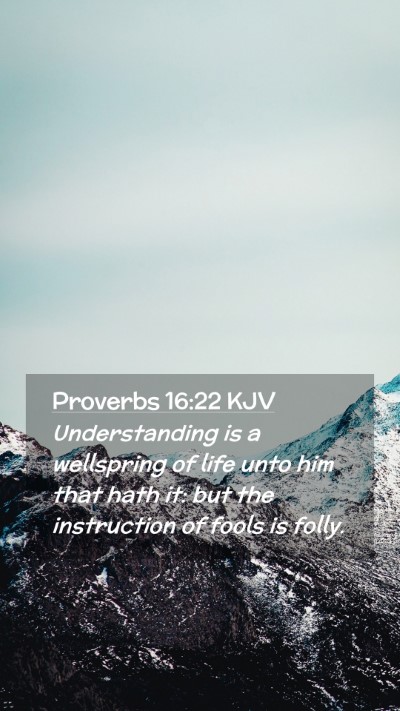 Picture 02 - Proverbs 16:22 KJV Mobile Phone Wallpaper - Understanding is a wellspring of life unto him - Mobile Bible Verse Wallpaper