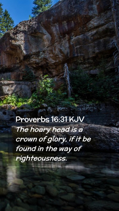 Picture 02 - Proverbs 16:31 KJV Mobile Phone Wallpaper - The hoary head is a crown of glory, if it be - Mobile Bible Verse Wallpaper