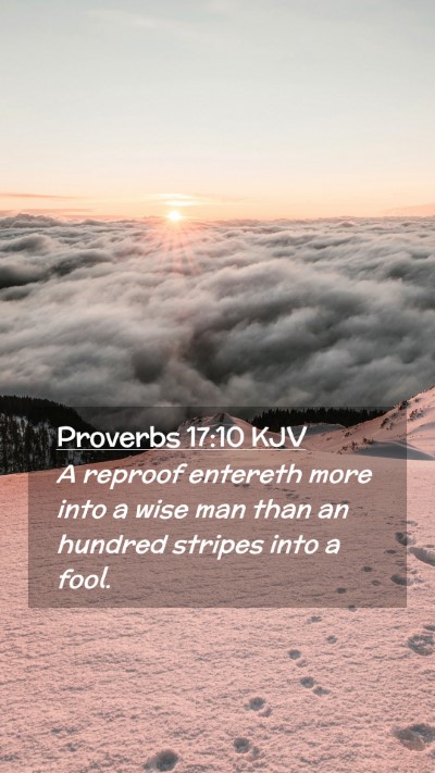 Picture 02 - Proverbs 17:10 KJV Mobile Phone Wallpaper - A reproof entereth more into a wise man than an - Mobile Bible Verse Wallpaper