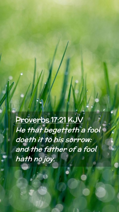 Picture 02 - Proverbs 17:21 KJV Mobile Phone Wallpaper - He that begetteth a fool doeth it to his sorrow: - Mobile Bible Verse Wallpaper