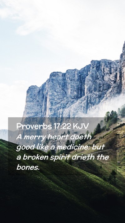 Picture 02 - Proverbs 17:22 KJV Mobile Phone Wallpaper - A merry heart doeth good like a medicine: but a - Mobile Bible Verse Wallpaper