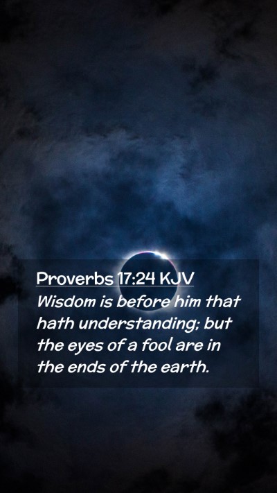 Picture 02 - Proverbs 17:24 KJV Mobile Phone Wallpaper - Wisdom is before him that hath understanding; but - Mobile Bible Verse Wallpaper