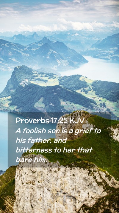 Picture 02 - Proverbs 17:25 KJV Mobile Phone Wallpaper - A foolish son is a grief to his father, and - Mobile Bible Verse Wallpaper