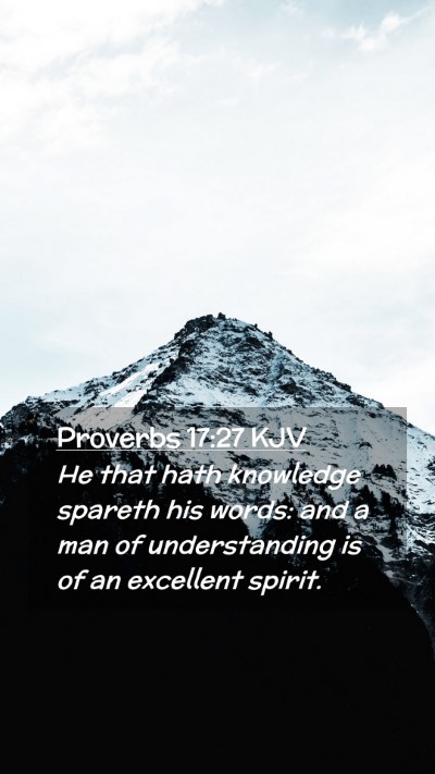 Picture 02 - Proverbs 17:27 KJV Mobile Phone Wallpaper - He that hath knowledge spareth his words: and a - Mobile Bible Verse Wallpaper