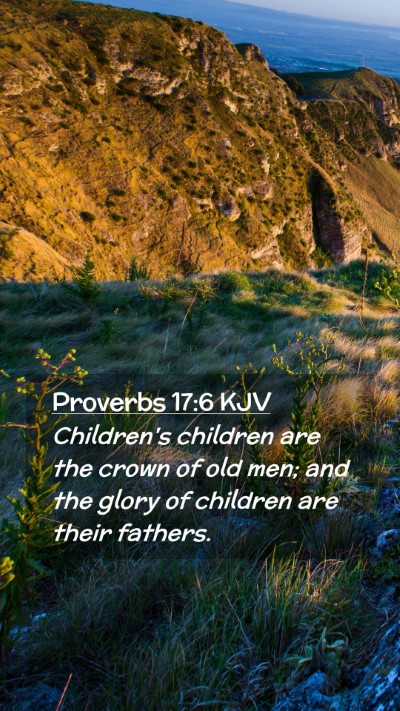Picture 02 - Proverbs 17:6 KJV Mobile Phone Wallpaper - Children's children are the crown of old men; and - Mobile Bible Verse Wallpaper