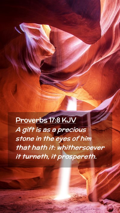 Picture 02 - Proverbs 17:8 KJV Mobile Phone Wallpaper - A gift is as a precious stone in the eyes of him - Mobile Bible Verse Wallpaper