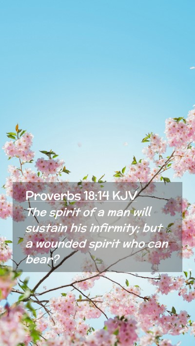 Picture 02 - Proverbs 18:14 KJV Mobile Phone Wallpaper - The spirit of a man will sustain his infirmity; - Mobile Bible Verse Wallpaper