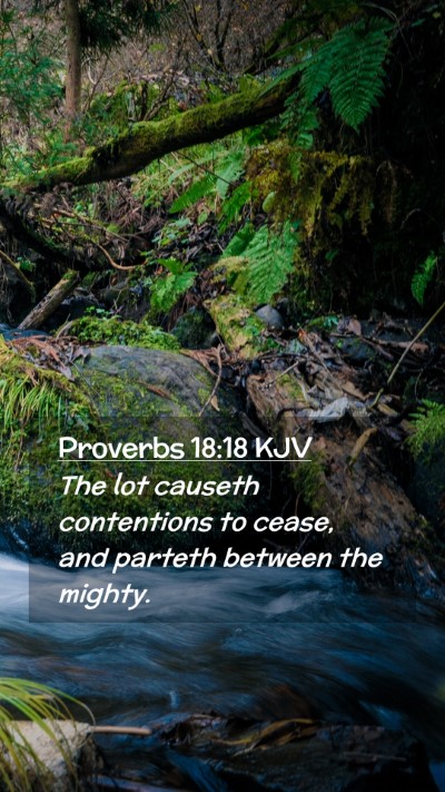 Picture 02 - Proverbs 18:18 KJV Mobile Phone Wallpaper - The lot causeth contentions to cease, and parteth - Mobile Bible Verse Wallpaper