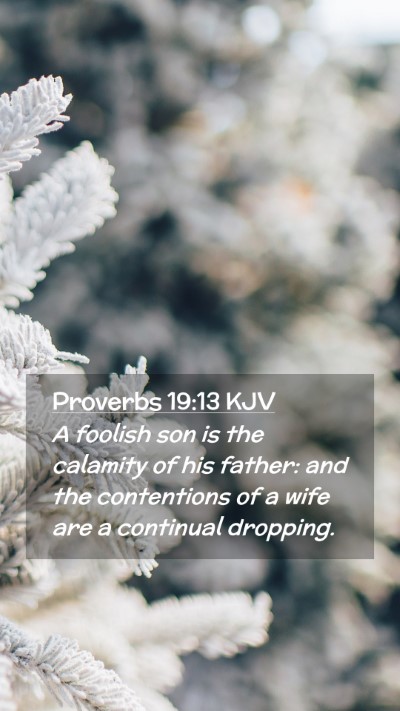 Picture 02 - Proverbs 19:13 KJV Mobile Phone Wallpaper - A foolish son is the calamity of his father: and - Mobile Bible Verse Wallpaper
