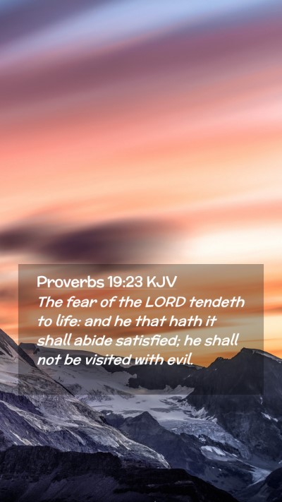 Picture 02 - Proverbs 19:23 KJV Mobile Phone Wallpaper - The fear of the LORD tendeth to life: and he that - Mobile Bible Verse Wallpaper
