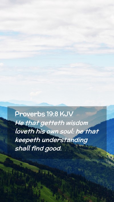 Picture 02 - Proverbs 19:8 KJV Mobile Phone Wallpaper - He that getteth wisdom loveth his own soul: he - Mobile Bible Verse Wallpaper