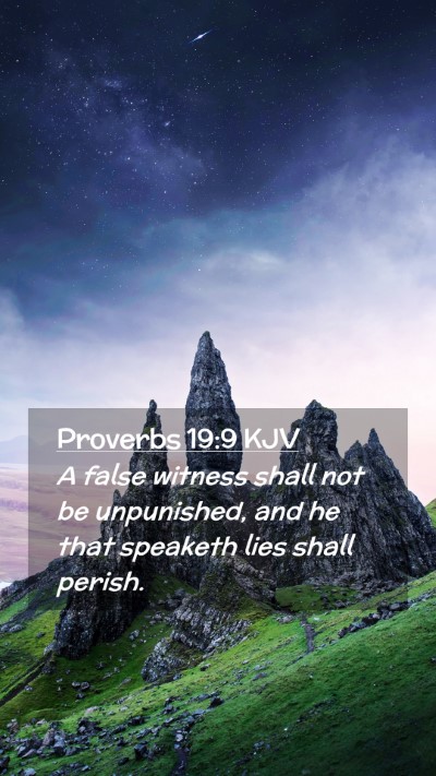Picture 02 - Proverbs 19:9 KJV Mobile Phone Wallpaper - A false witness shall not be unpunished, and he - Mobile Bible Verse Wallpaper
