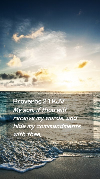 Picture 02 - Proverbs 2:1 KJV Mobile Phone Wallpaper - My son, if thou wilt receive my words, and hide - Mobile Bible Verse Wallpaper