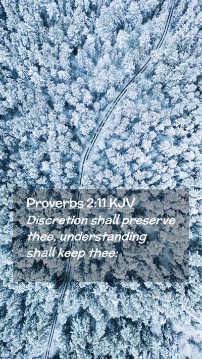 Picture 02 - Proverbs 2:11 KJV Mobile Phone Wallpaper - Discretion shall preserve thee, understanding - Mobile Bible Verse Wallpaper