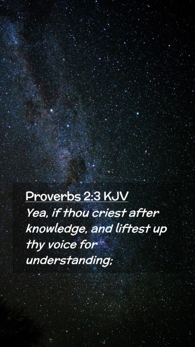 Picture 02 - Proverbs 2:3 KJV Mobile Phone Wallpaper - Yea, if thou criest after knowledge, and liftest - Mobile Bible Verse Wallpaper