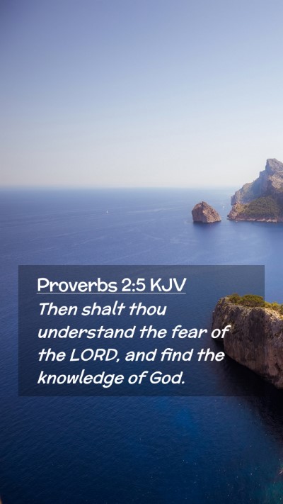 Picture 02 - Proverbs 2:5 KJV Mobile Phone Wallpaper - Then shalt thou understand the fear of the LORD, - Mobile Bible Verse Wallpaper