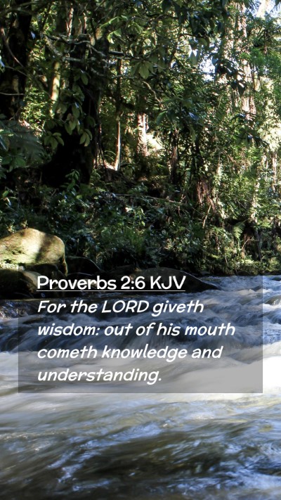 Picture 02 - Proverbs 2:6 KJV Mobile Phone Wallpaper - For the LORD giveth wisdom: out of his mouth - Mobile Bible Verse Wallpaper