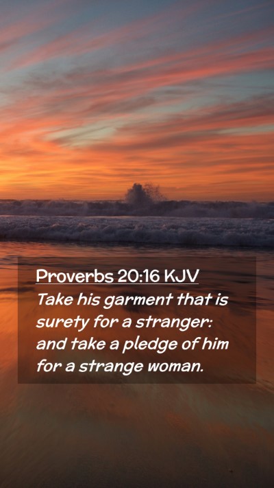 Picture 02 - Proverbs 20:16 KJV Mobile Phone Wallpaper - Take his garment that is surety for a stranger: - Mobile Bible Verse Wallpaper