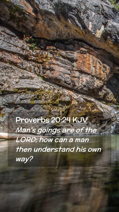 Picture 02 - Proverbs 20:24 KJV Mobile Phone Wallpaper - Man's goings are of the LORD; how can a man then - Mobile Bible Verse Wallpaper