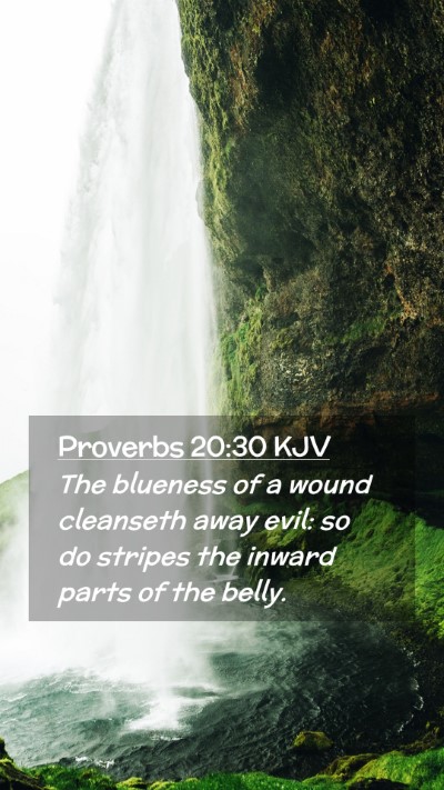 Picture 02 - Proverbs 20:30 KJV Mobile Phone Wallpaper - The blueness of a wound cleanseth away evil: so - Mobile Bible Verse Wallpaper