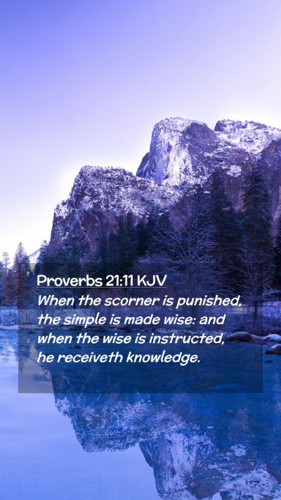Picture 02 - Proverbs 21:11 KJV Mobile Phone Wallpaper - When the scorner is punished, the simple is made - Mobile Bible Verse Wallpaper