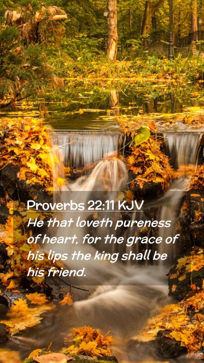 Picture 02 - Proverbs 22:11 KJV Mobile Phone Wallpaper - He that loveth pureness of heart, for the grace - Mobile Bible Verse Wallpaper