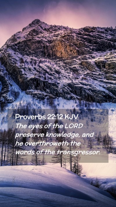 Picture 02 - Proverbs 22:12 KJV Mobile Phone Wallpaper - The eyes of the LORD preserve knowledge, and he - Mobile Bible Verse Wallpaper
