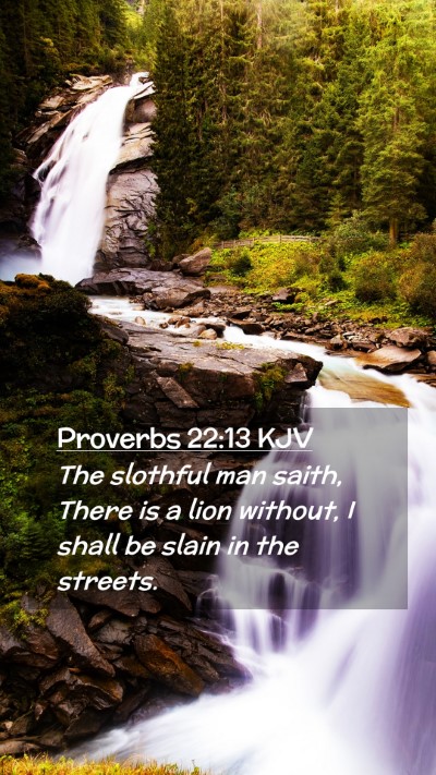 Picture 02 - Proverbs 22:13 KJV Mobile Phone Wallpaper - The slothful man saith, There is a lion without, - Mobile Bible Verse Wallpaper