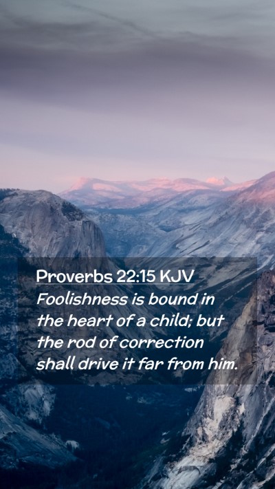 Picture 02 - Proverbs 22:15 KJV Mobile Phone Wallpaper - Foolishness is bound in the heart of a child; but - Mobile Bible Verse Wallpaper