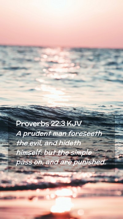 Picture 02 - Proverbs 22:3 KJV Mobile Phone Wallpaper - A prudent man foreseeth the evil, and hideth - Mobile Bible Verse Wallpaper