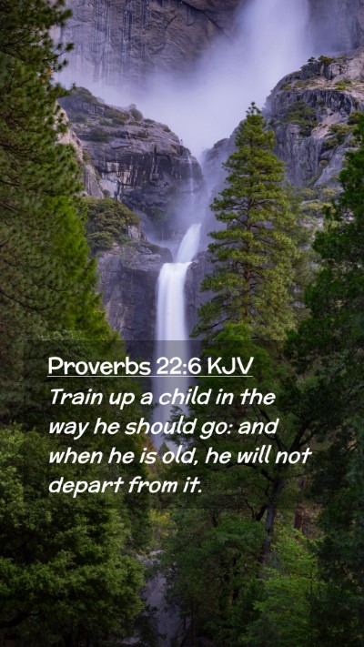 Picture 02 - Proverbs 22:6 KJV Mobile Phone Wallpaper - Train up a child in the way he should go: and - Mobile Bible Verse Wallpaper