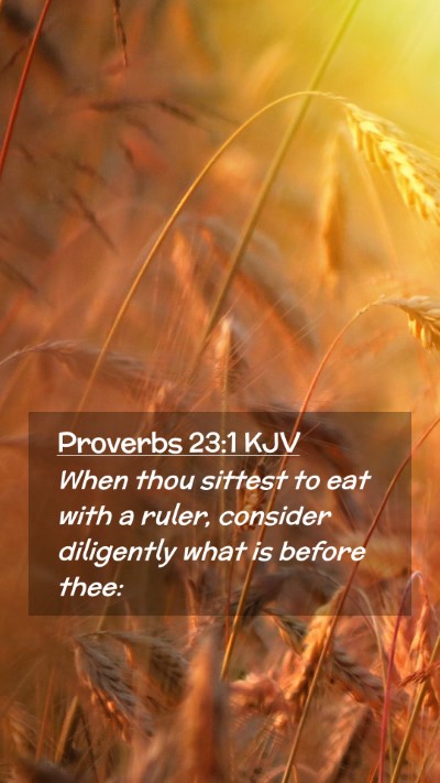 Picture 02 - Proverbs 23:1 KJV Mobile Phone Wallpaper - When thou sittest to eat with a ruler, consider - Mobile Bible Verse Wallpaper