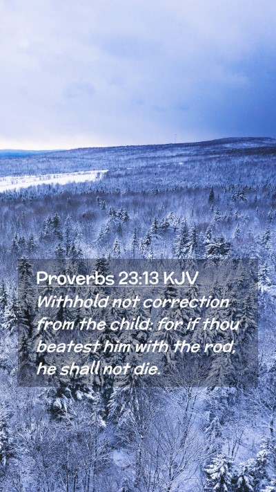 Picture 02 - Proverbs 23:13 KJV Mobile Phone Wallpaper - Withhold not correction from the child: for if - Mobile Bible Verse Wallpaper
