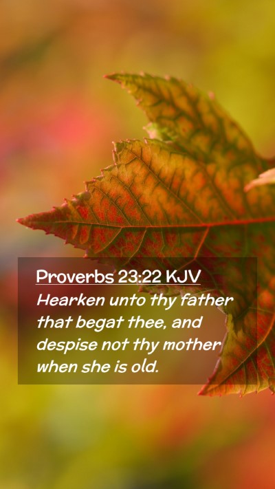 Picture 02 - Proverbs 23:22 KJV Mobile Phone Wallpaper - Hearken unto thy father that begat thee, and - Mobile Bible Verse Wallpaper