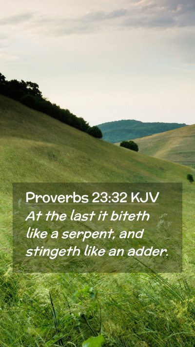 Picture 02 - Proverbs 23:32 KJV Mobile Phone Wallpaper - At the last it biteth like a serpent, and - Mobile Bible Verse Wallpaper
