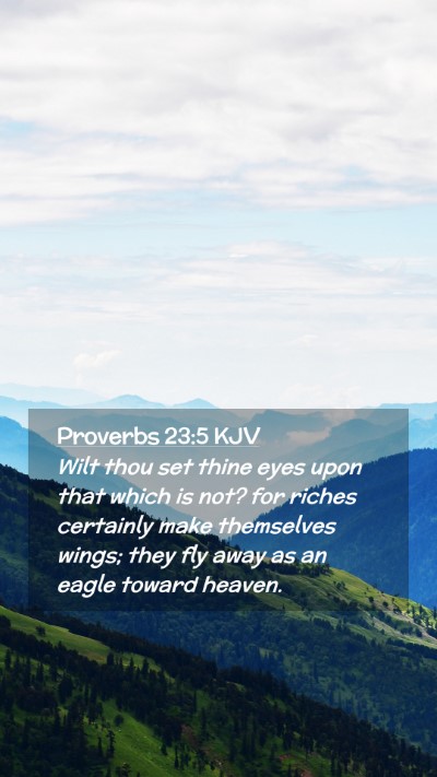 Picture 02 - Proverbs 23:5 KJV Mobile Phone Wallpaper - Wilt thou set thine eyes upon that which is not? - Mobile Bible Verse Wallpaper