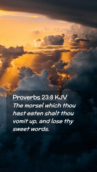 Picture 02 - Proverbs 23:8 KJV Mobile Phone Wallpaper - The morsel which thou hast eaten shalt thou vomit - Mobile Bible Verse Wallpaper