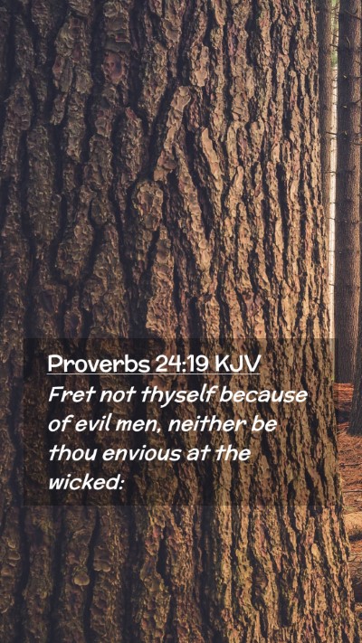 Picture 02 - Proverbs 24:19 KJV Mobile Phone Wallpaper - Fret not thyself because of evil men, neither be - Mobile Bible Verse Wallpaper