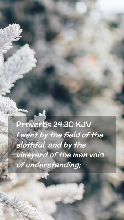 Picture 02 - Proverbs 24:30 KJV Mobile Phone Wallpaper - I went by the field of the slothful, and by the - Mobile Bible Verse Wallpaper