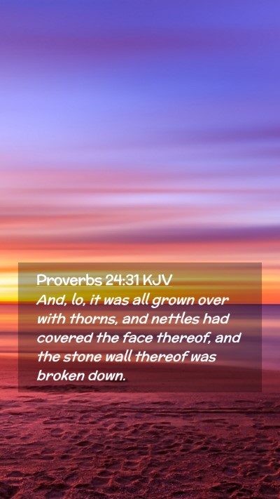 Picture 02 - Proverbs 24:31 KJV Mobile Phone Wallpaper - And, lo, it was all grown over with thorns, and - Mobile Bible Verse Wallpaper