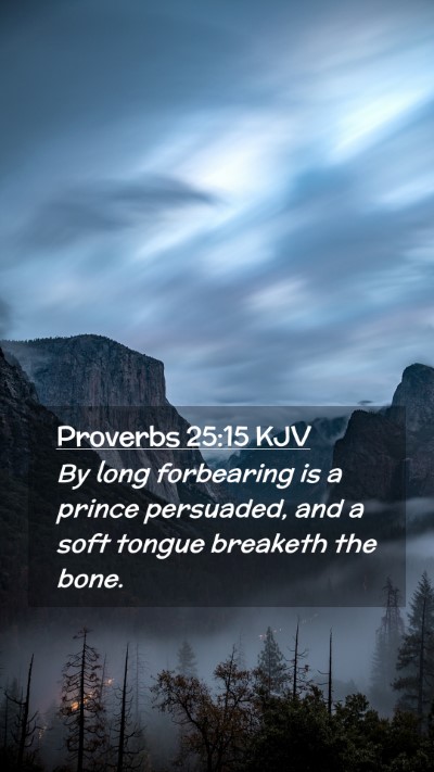 Picture 02 - Proverbs 25:15 KJV Mobile Phone Wallpaper - By long forbearing is a prince persuaded, and a - Mobile Bible Verse Wallpaper