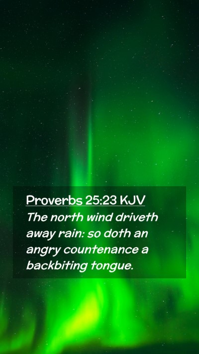 Picture 02 - Proverbs 25:23 KJV Mobile Phone Wallpaper - The north wind driveth away rain: so doth an - Mobile Bible Verse Wallpaper
