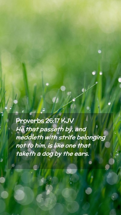 Picture 02 - Proverbs 26:17 KJV Mobile Phone Wallpaper - He that passeth by, and meddleth with strife - Mobile Bible Verse Wallpaper