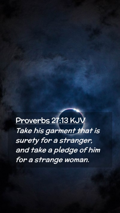 Picture 02 - Proverbs 27:13 KJV Mobile Phone Wallpaper - Take his garment that is surety for a stranger, - Mobile Bible Verse Wallpaper