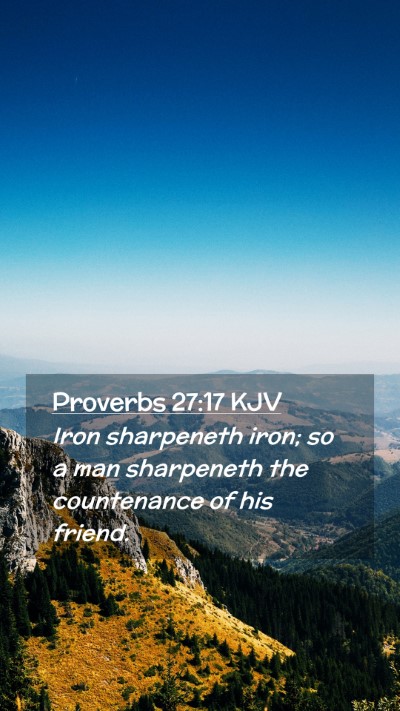 Picture 02 - Proverbs 27:17 KJV Mobile Phone Wallpaper - Iron sharpeneth iron; so a man sharpeneth the - Mobile Bible Verse Wallpaper