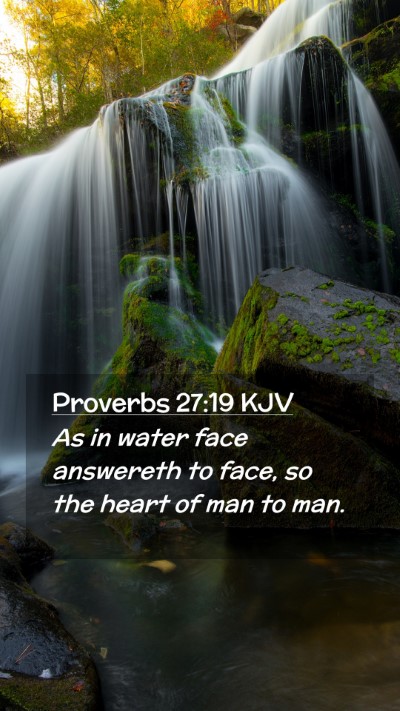 Picture 02 - Proverbs 27:19 KJV Mobile Phone Wallpaper - As in water face answereth to face, so the heart - Mobile Bible Verse Wallpaper