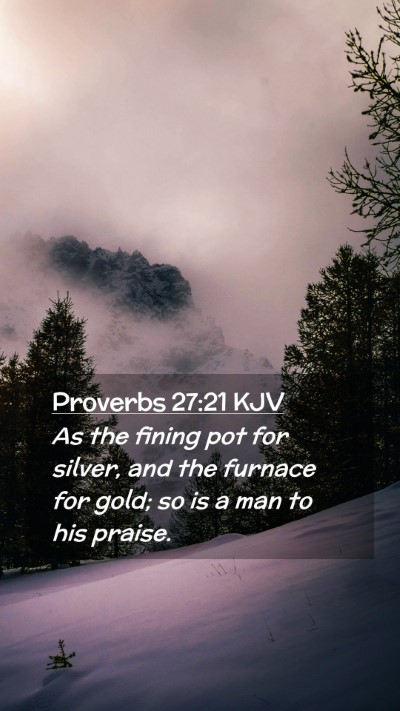 Picture 02 - Proverbs 27:21 KJV Mobile Phone Wallpaper - As the fining pot for silver, and the furnace for - Mobile Bible Verse Wallpaper