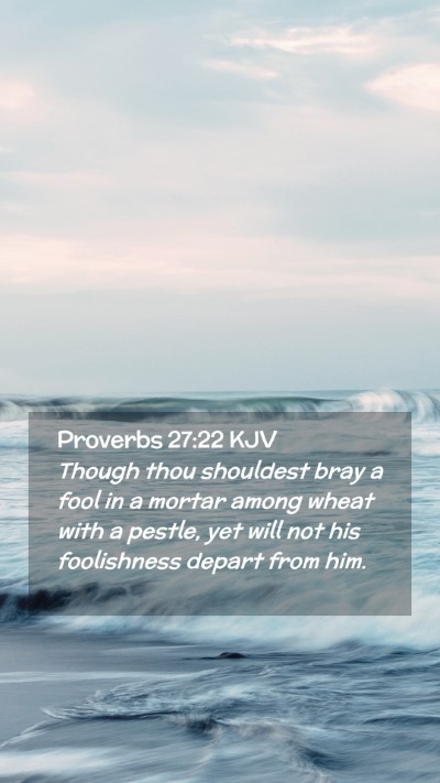 Picture 02 - Proverbs 27:22 KJV Mobile Phone Wallpaper - Though thou shouldest bray a fool in a mortar - Mobile Bible Verse Wallpaper