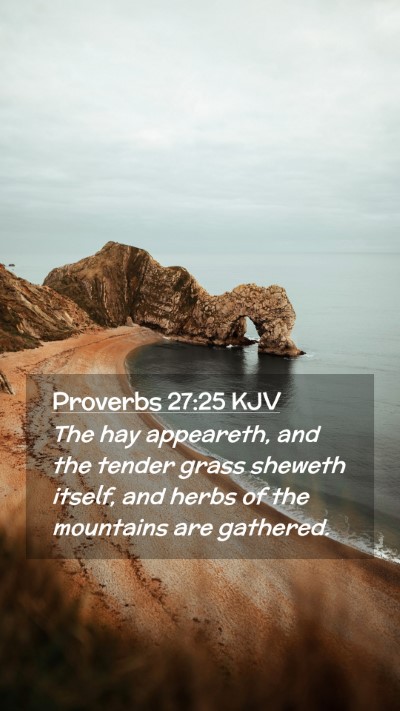 Picture 02 - Proverbs 27:25 KJV Mobile Phone Wallpaper - The hay appeareth, and the tender grass sheweth - Mobile Bible Verse Wallpaper